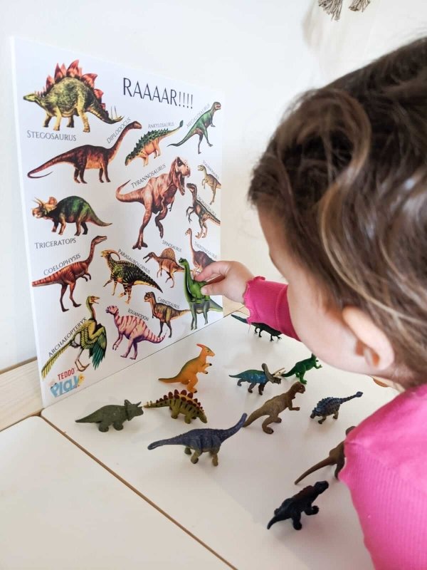 Teddo Play RAAR! Dinosaurs Portable Educational Poster Board (Large: 30x30cm) Free Wooden Tripod Stand - Learning & Education - British D'sire