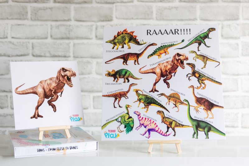 Teddo Play RAAR! Dinosaurs Portable Educational Poster Board (Large: 30x30cm) Free Wooden Tripod Stand - Learning & Education - British D'sire