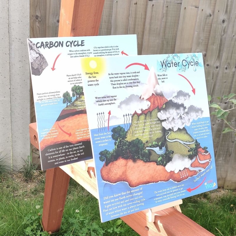 Teddo Play Water Cycle & Carbon Cycle Portable Educational Poster Boards (Large: 30x30cm) Free Wooden Tripod Display Stand - Learning & Education - British D'sire