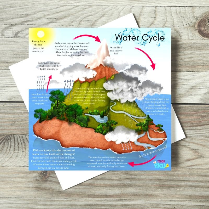 Teddo Play Water Cycle & Carbon Cycle Portable Educational Poster Boards (Large: 30x30cm) Free Wooden Tripod Display Stand - Learning & Education - British D'sire