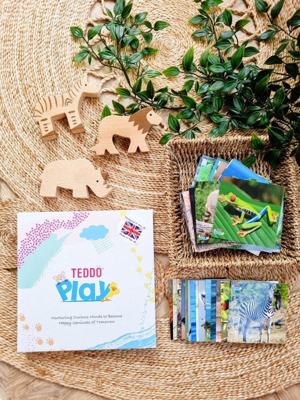 Teddo Play What's The Word For That Sound? Set of 40 - Learning & Education - British D'sire