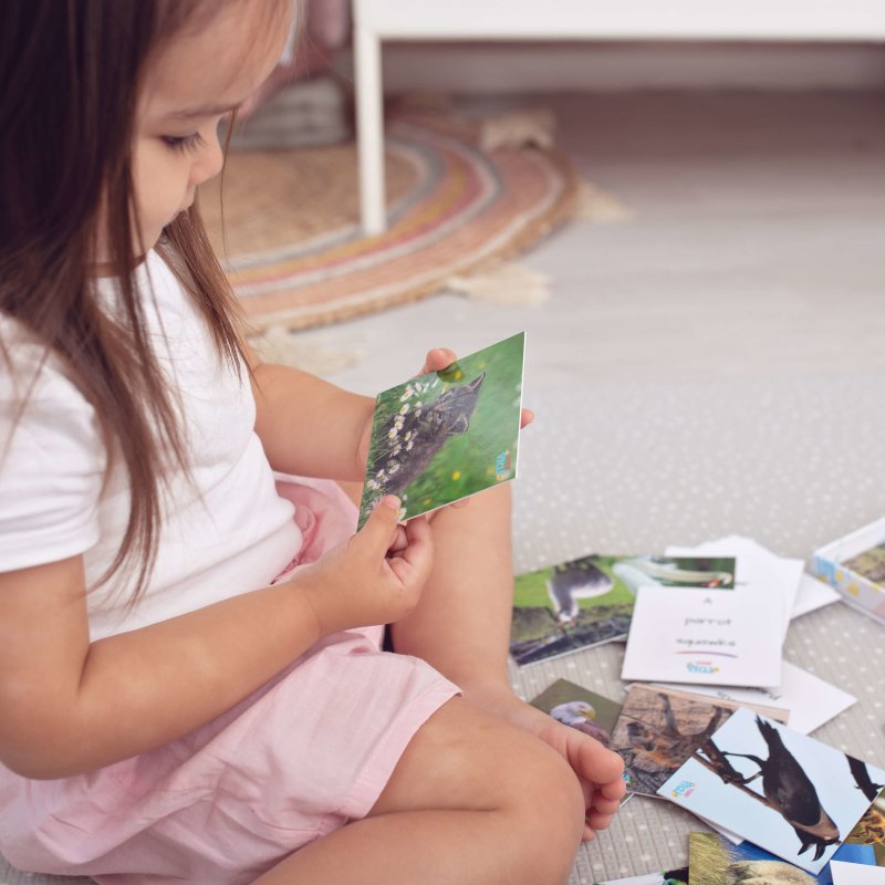 Teddo Play What's The Word For That Sound? Set of 40 - Learning & Education - British D'sire