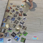 Teddo Play What's The Word For That Sound? Set of 40 - Learning & Education - British D'sire