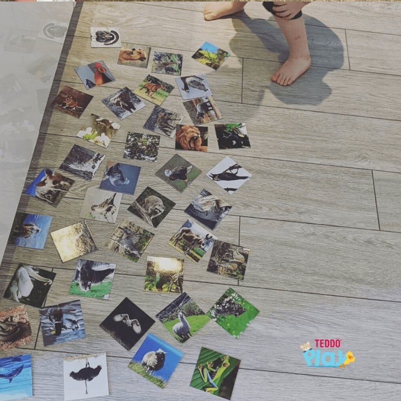 Teddo Play What's The Word For That Sound? Set of 40 - Learning & Education - British D'sire