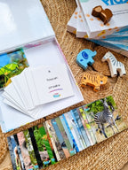 Teddo Play What's The Word For That Sound? Set of 40 - Learning & Education - British D'sire