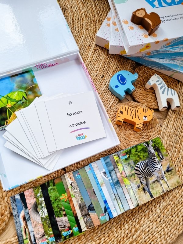 Teddo Play What's The Word For That Sound? Set of 40 - Learning & Education - British D'sire