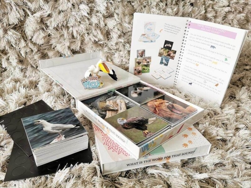 Teddo Play What's The Word For That Sound? Set of 40 - Learning & Education - British D'sire