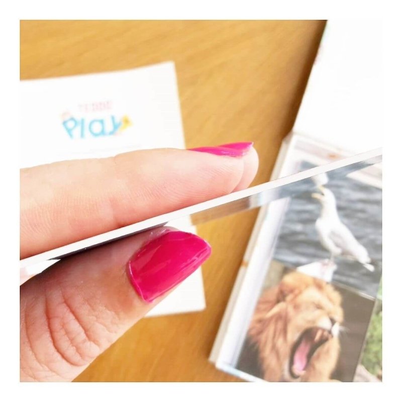 Teddo Play What's The Word For That Sound? Set of 40 - Learning & Education - British D'sire