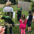 Teddo Play What's The Word For That Sound? Set of 40 - Learning & Education - British D'sire