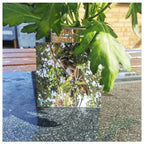 Teddo Play What's The Word For That Sound? Set of 40 - Learning & Education - British D'sire