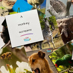 Teddo Play What's The Word For That Sound? Set of 40 - Learning & Education - British D'sire