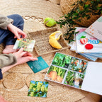 Teddo Play Where Our Food Grows? (Lesser-known Facts Edition) Set of 40 - Learning & Education - British D'sire