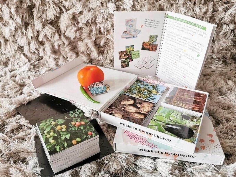 Teddo Play Where Our Food Grows? (Lesser-known Facts Edition) Set of 40 - Learning & Education - British D'sire
