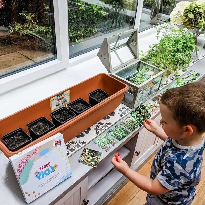 Teddo Play Where Our Food Grows? (Lesser-known Facts Edition) Set of 40 - Learning & Education - British D'sire