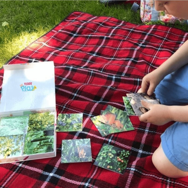 Teddo Play Where Our Food Grows? (Lesser-known Facts Edition) Set of 40 - Learning & Education - British D'sire