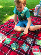 Teddo Play Where Our Food Grows? (Lesser-known Facts Edition) Set of 40 - Learning & Education - British D'sire