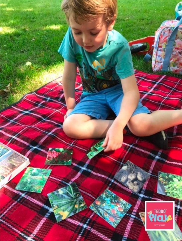 Teddo Play Where Our Food Grows? (Lesser-known Facts Edition) Set of 40 - Learning & Education - British D'sire