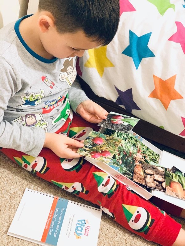 Teddo Play Where Our Food Grows? (Lesser-known Facts Edition) Set of 40 - Learning & Education - British D'sire