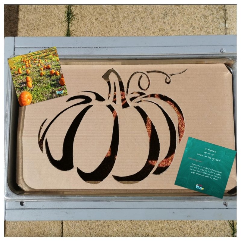 Teddo Play Where Our Food Grows? (Lesser-known Facts Edition) Set of 40 - Learning & Education - British D'sire