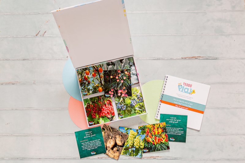 Teddo Play Where Our Food Grows? (Lesser-known Facts Edition) Set of 40 - Learning & Education - British D'sire