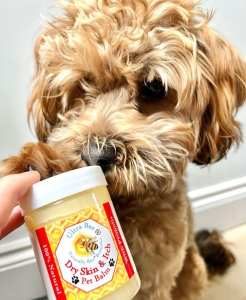 Ultra Bee Health 100% Natural Pet Dry Skin & Itch Balm 100ml - Health Supplies for Pets - British D'sire
