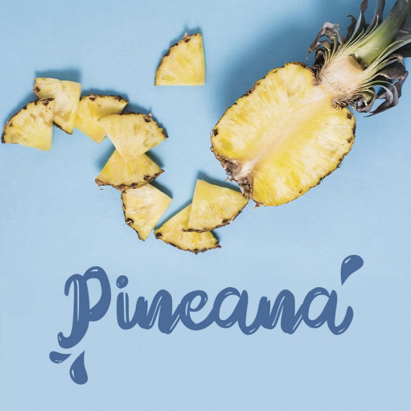 Washabrush Foam Cleanser Pineapple - Face Care - British D'sire