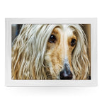 Yoosh Afghan Dog Lap Tray - Kitchen Tools & Gadgets - British D'sire