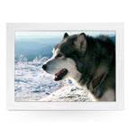 Yoosh Alaskan Malamute Dog Lap Tray - Kitchen Tools & Gadgets - British D'sire
