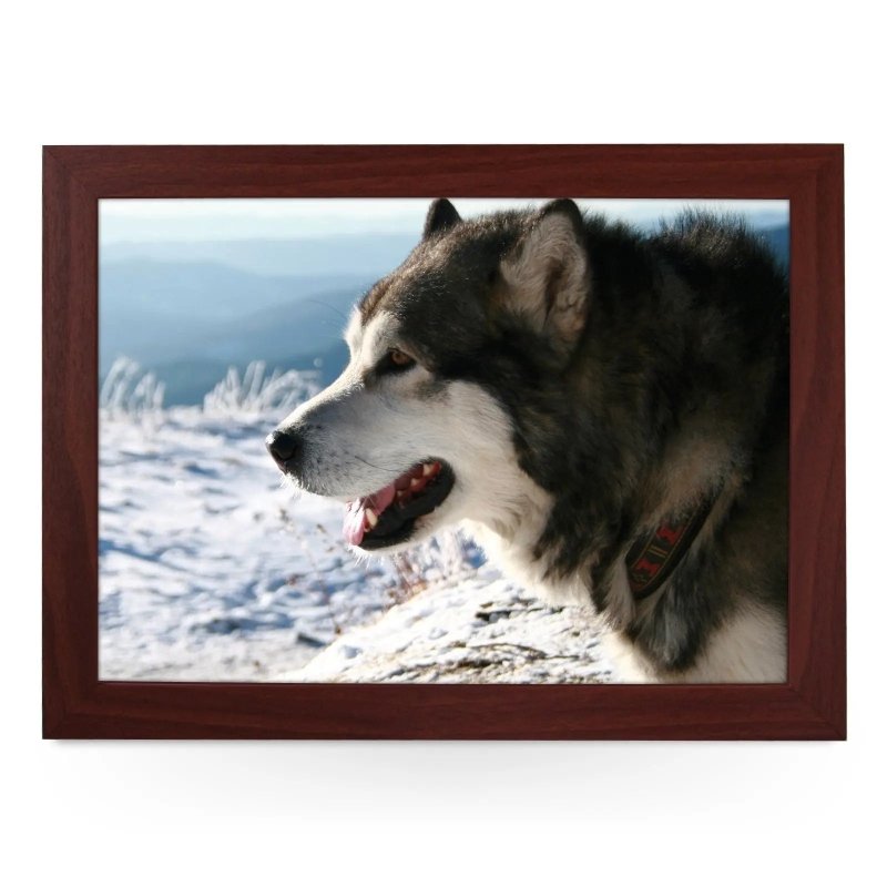 Yoosh Alaskan Malamute Dog Lap Tray - Kitchen Tools & Gadgets - British D'sire