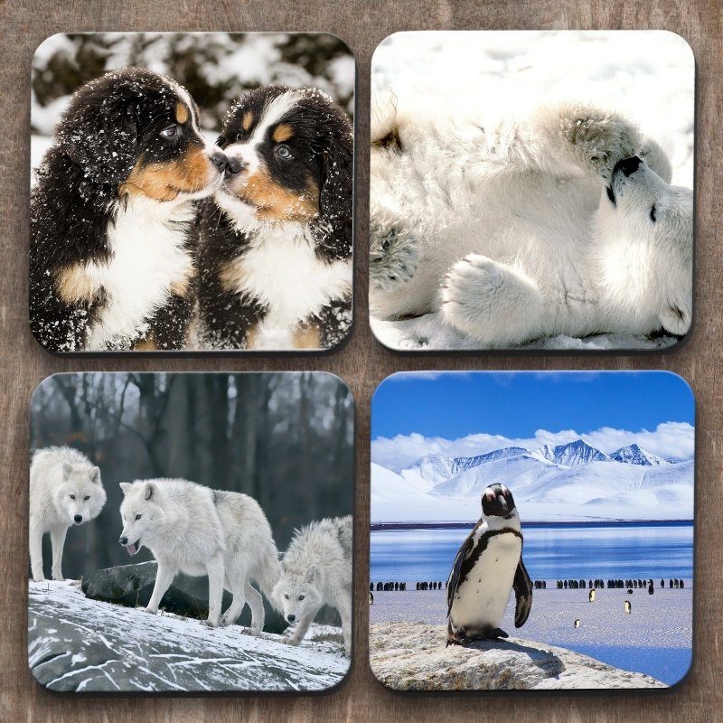 Yoosh Animals in the Snow x 4 Coasters - Kitchen Tools & Gadgets - British D'sire Main image