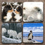 Yoosh Animals in the Snow x 4 Coasters - Kitchen Tools & Gadgets - British D'sire