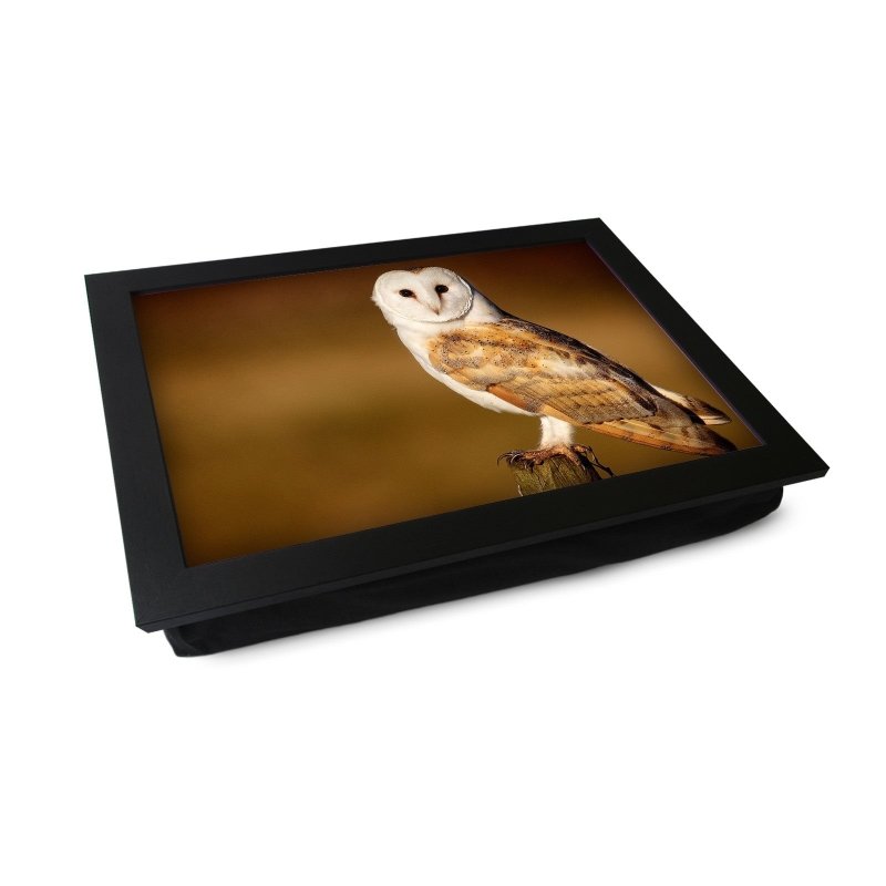 Yoosh Barn Owl Lap Tray Secondary image