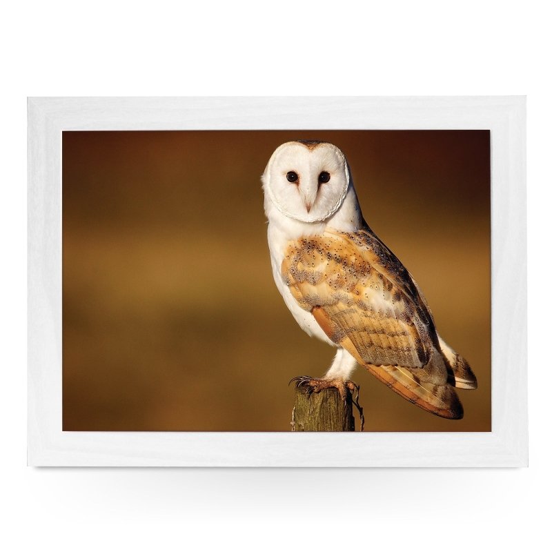 Yoosh Barn Owl Lap Tray - Kitchen Tools & Gadgets - British D'sire