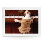 Yoosh Bulldog Puppy Playing Piano Lap Tray - Kitchen Tools & Gadgets - British D'sire