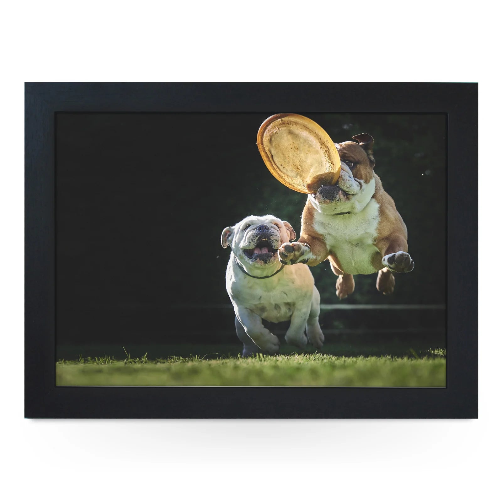 Yoosh Bulldogs Playing Lap Tray Secondary image