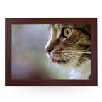 Yoosh Cat with Tongue Out - Kitchen Tools & Gadgets - British D'sire