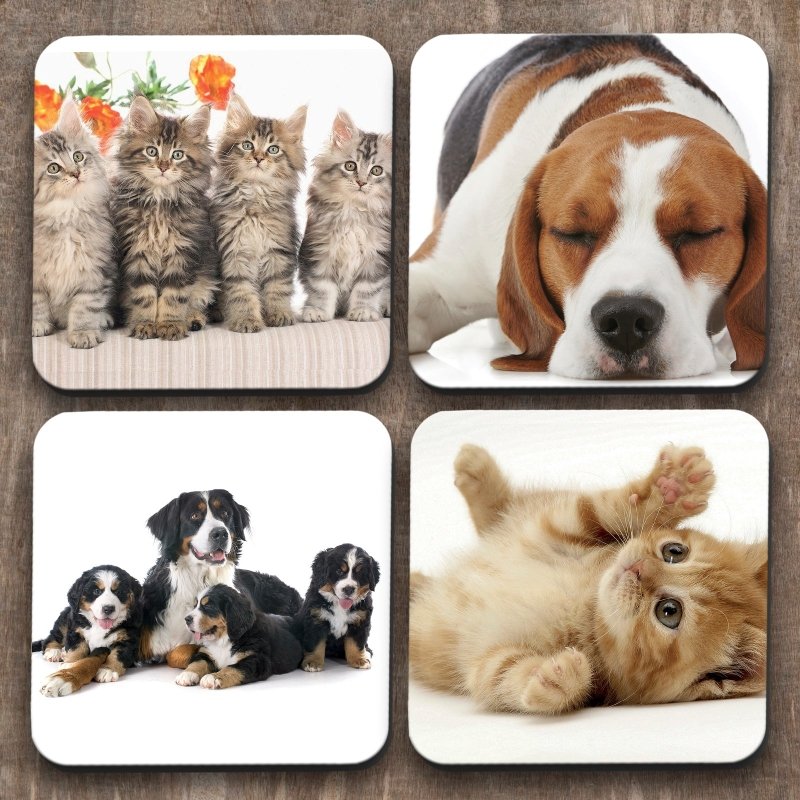 Yoosh Cats vs Dogs x 4 Coasters - Kitchen Tools & Gadgets - British D'sire Main image