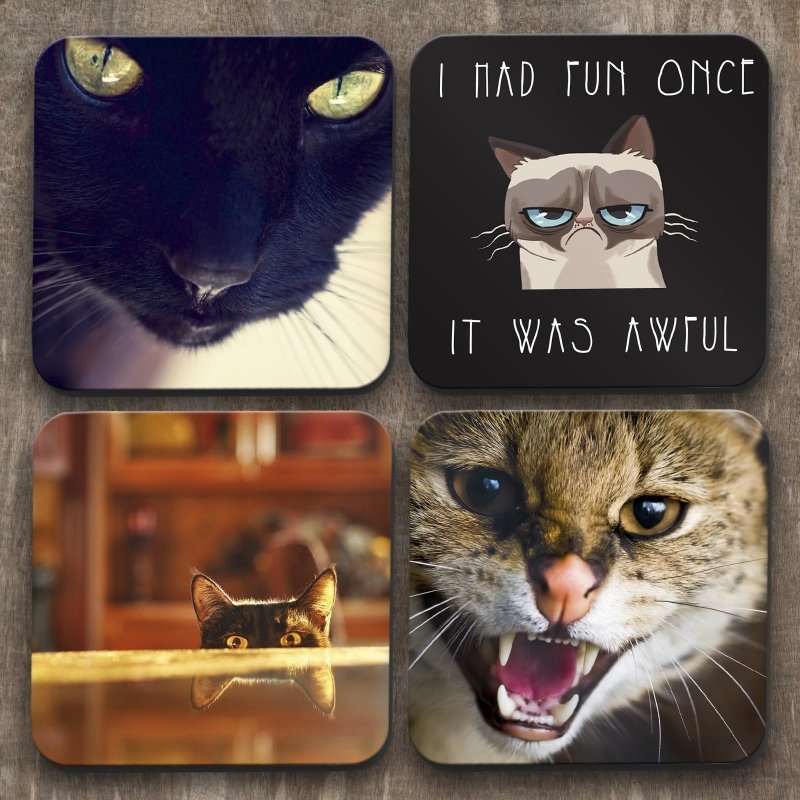 Yoosh Cats x 4 Coasters - Kitchen Tools & Gadgets - British D'sire Main image