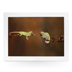 Yoosh Chameleons Lap Tray - Kitchen Tools & Gadgets - British D'sire