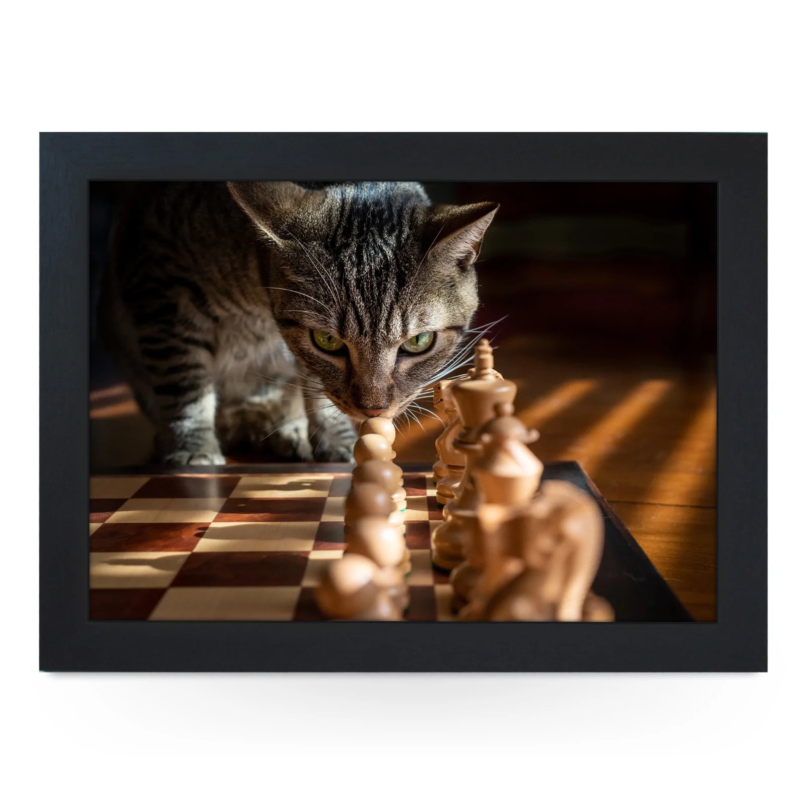 Yoosh Chess Cat Lap Tray - Kitchen Tools & Gadgets - British D'sire Main image