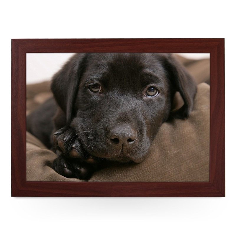Yoosh Chocolate Labrador Puppy Lap Tray - L0587 - Kitchen Tools & Gadgets - British D'sire