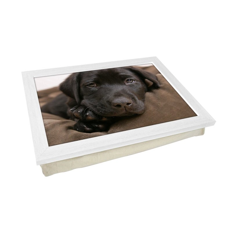 Yoosh Chocolate Labrador Puppy Lap Tray - L0587 - Kitchen Tools & Gadgets - British D'sire