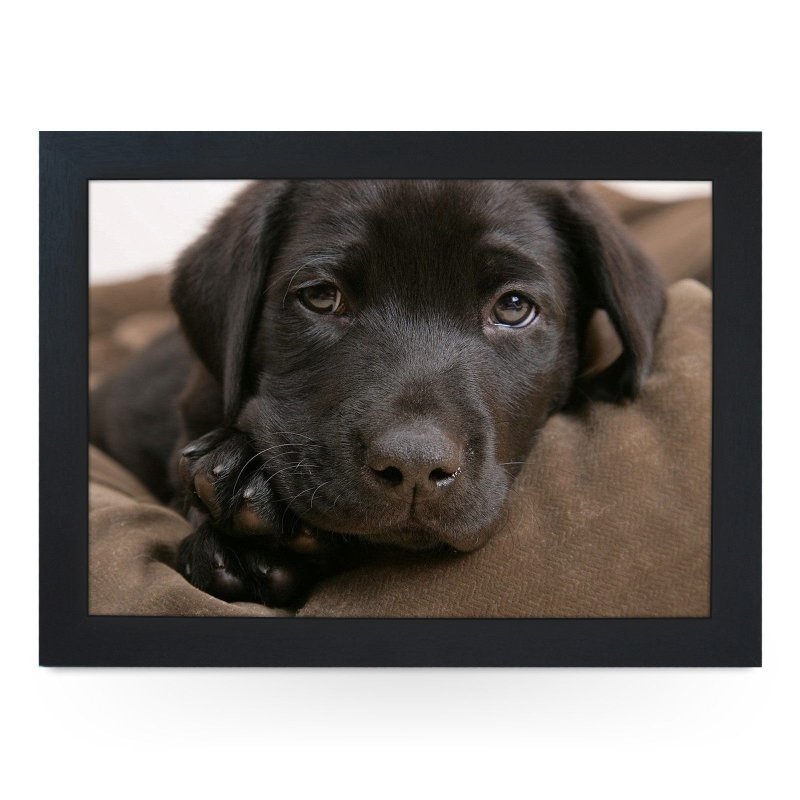Yoosh Chocolate Labrador Puppy Lap Tray - L0587 - Kitchen Tools & Gadgets - British D'sire