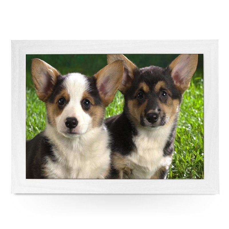 Yoosh Corgi Puppies Lap Tray - L0024 - Kitchen Tools & Gadgets - British D'sire