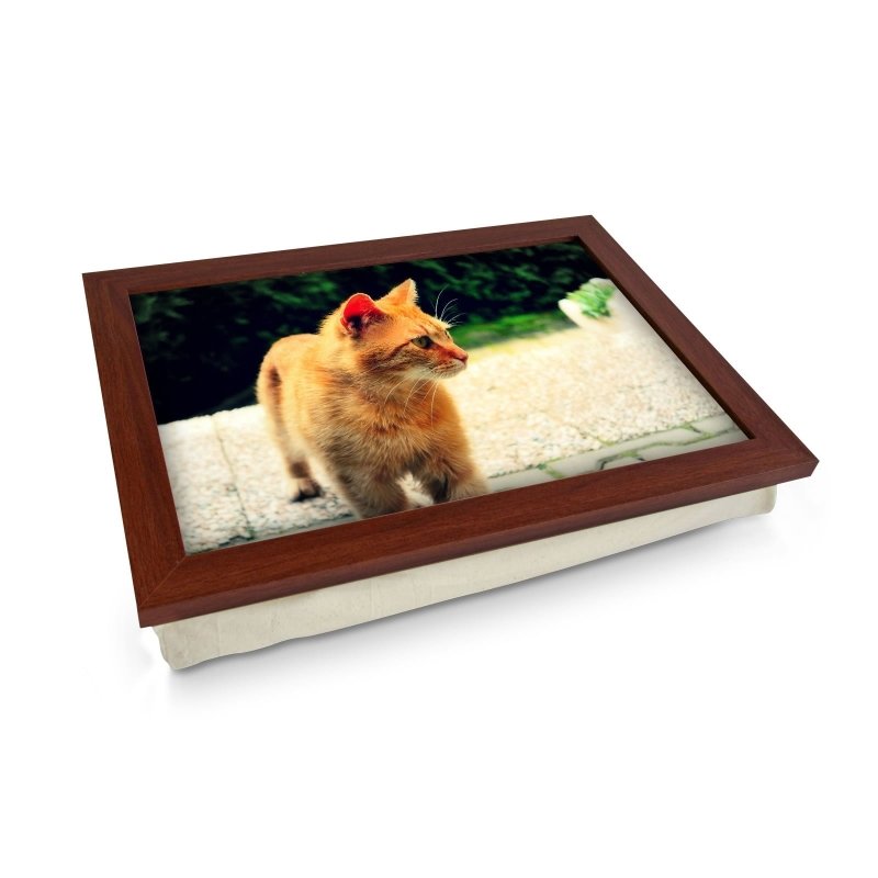 Yoosh Ginger Cat Lap Tray - Kitchen Tools & Gadgets - British D'sire Main image