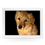 Yoosh Golden Retriever Dog Lap Tray - L0106 - Kitchen Tools & Gadgets - British D'sire
