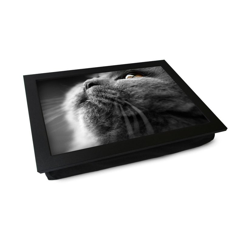 Yoosh Grey Cat Close Up Lap Tray - L0029 Secondary image