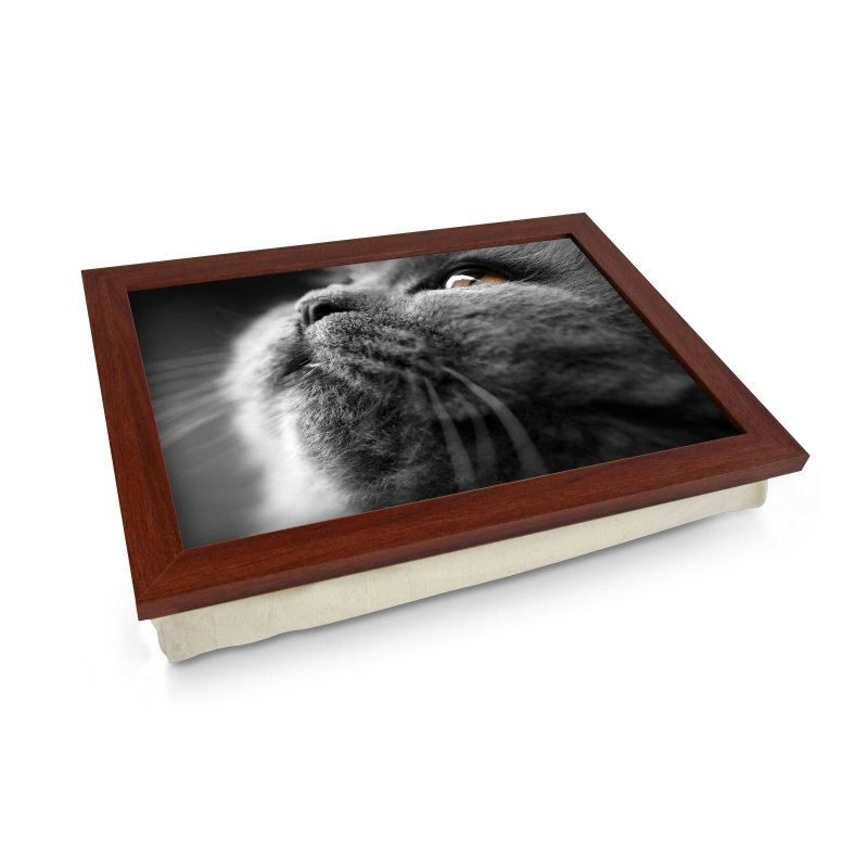 Yoosh Grey Cat Close Up Lap Tray - L0029 - Kitchen Tools & Gadgets - British D'sire Main image