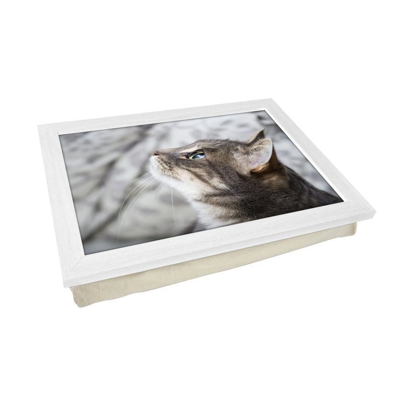 Yoosh Grey Cat Looking Up  Lap Tray - L0177 Secondary image