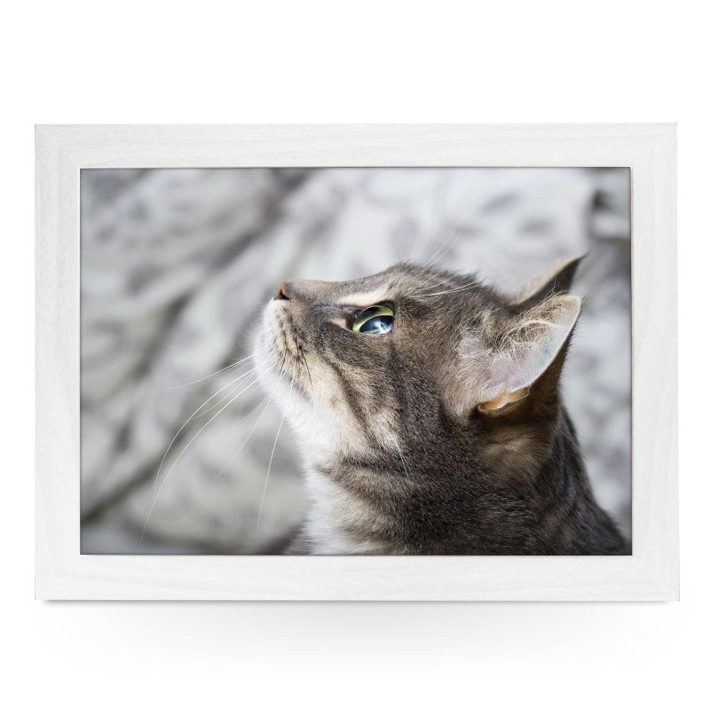 Yoosh Grey Cat Looking Up Lap Tray - L0177 - Kitchen Tools & Gadgets - British D'sire